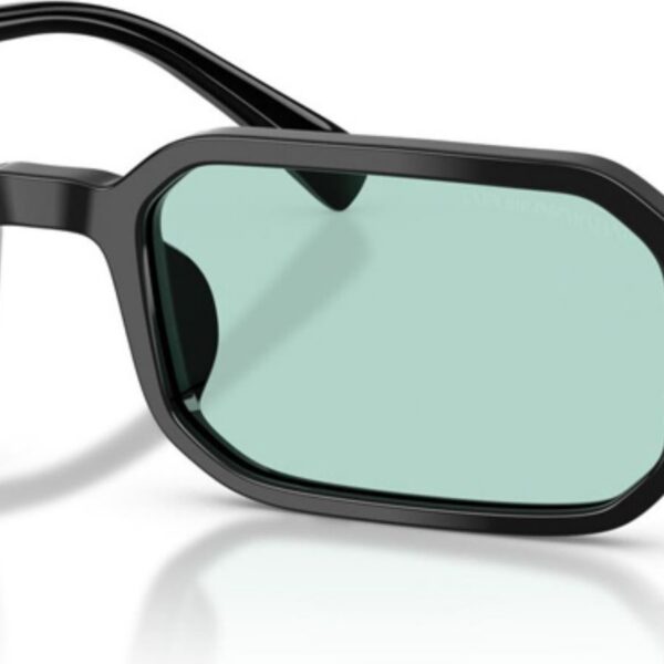 emporio armani 0ea4253u 501765 54 erkek gunes gozlugu 235614.jpg
