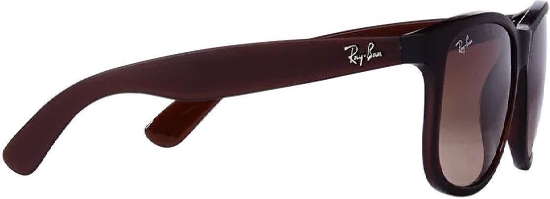 ray ban 0rb4202 607313 55 erkek gunes gozlugu 242335.jpg