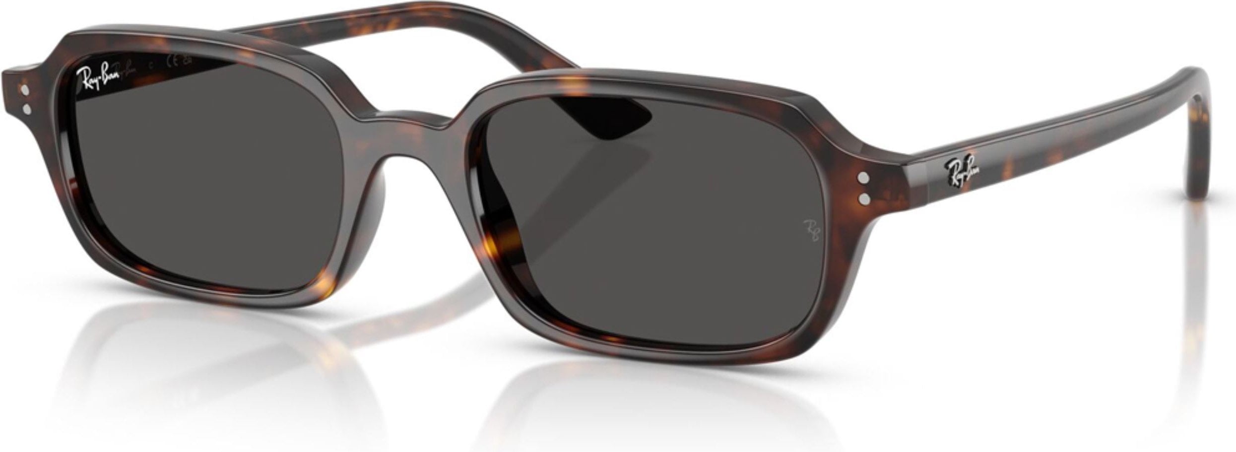 ray ban 0rb4455 135987 49 unisex gunes gozlugu 242513.jpg