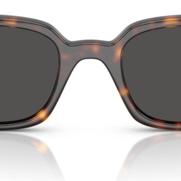 ray ban 0rb4455 135987 49 unisex gunes gozlugu 242514.jpg