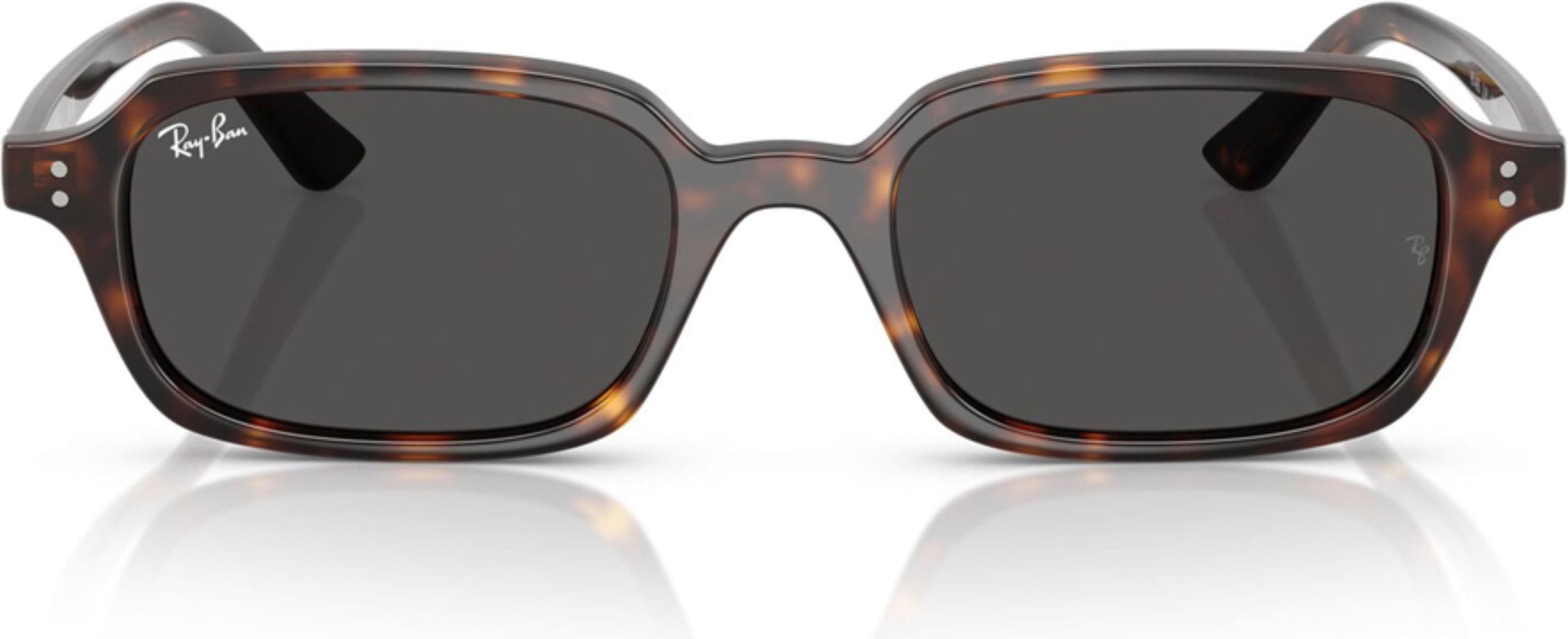 ray ban 0rb4455 135987 49 unisex gunes gozlugu 242514.jpg